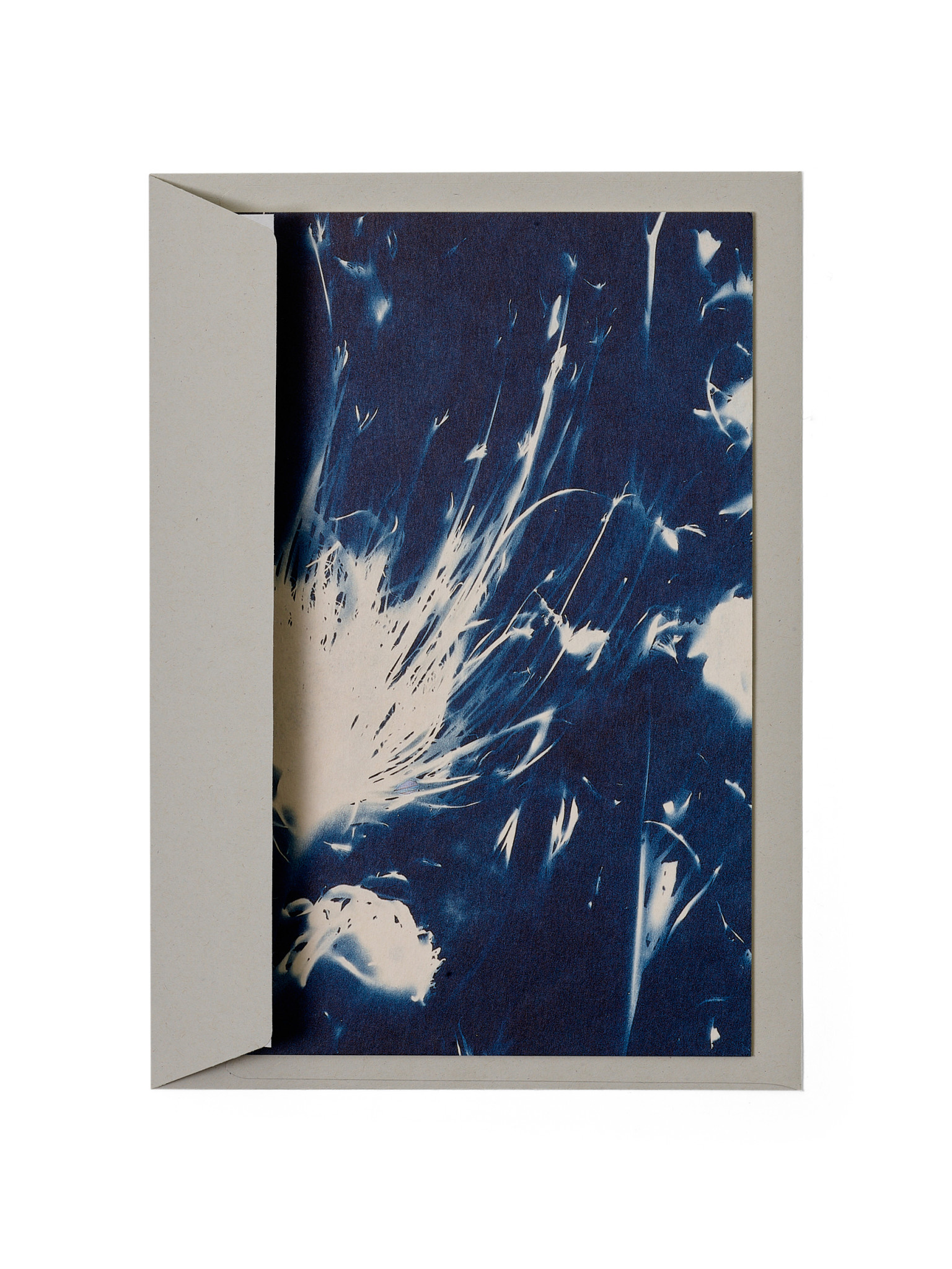 STUDIO SOMMER Karte / Print DIN A5, CYANOTYPE – fleurs séchées N°1, inkl. Couvert