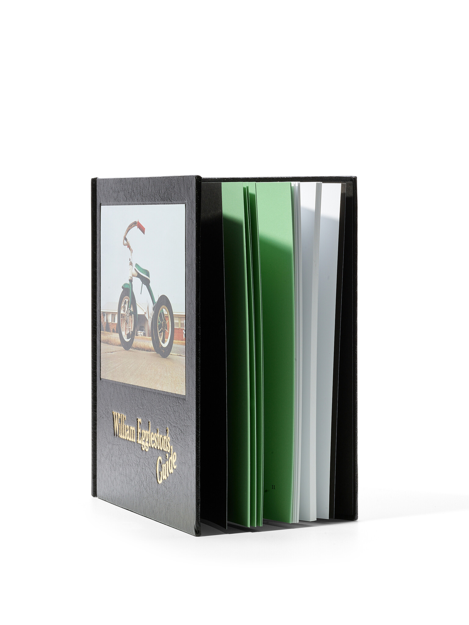 William Eggleston's Guide