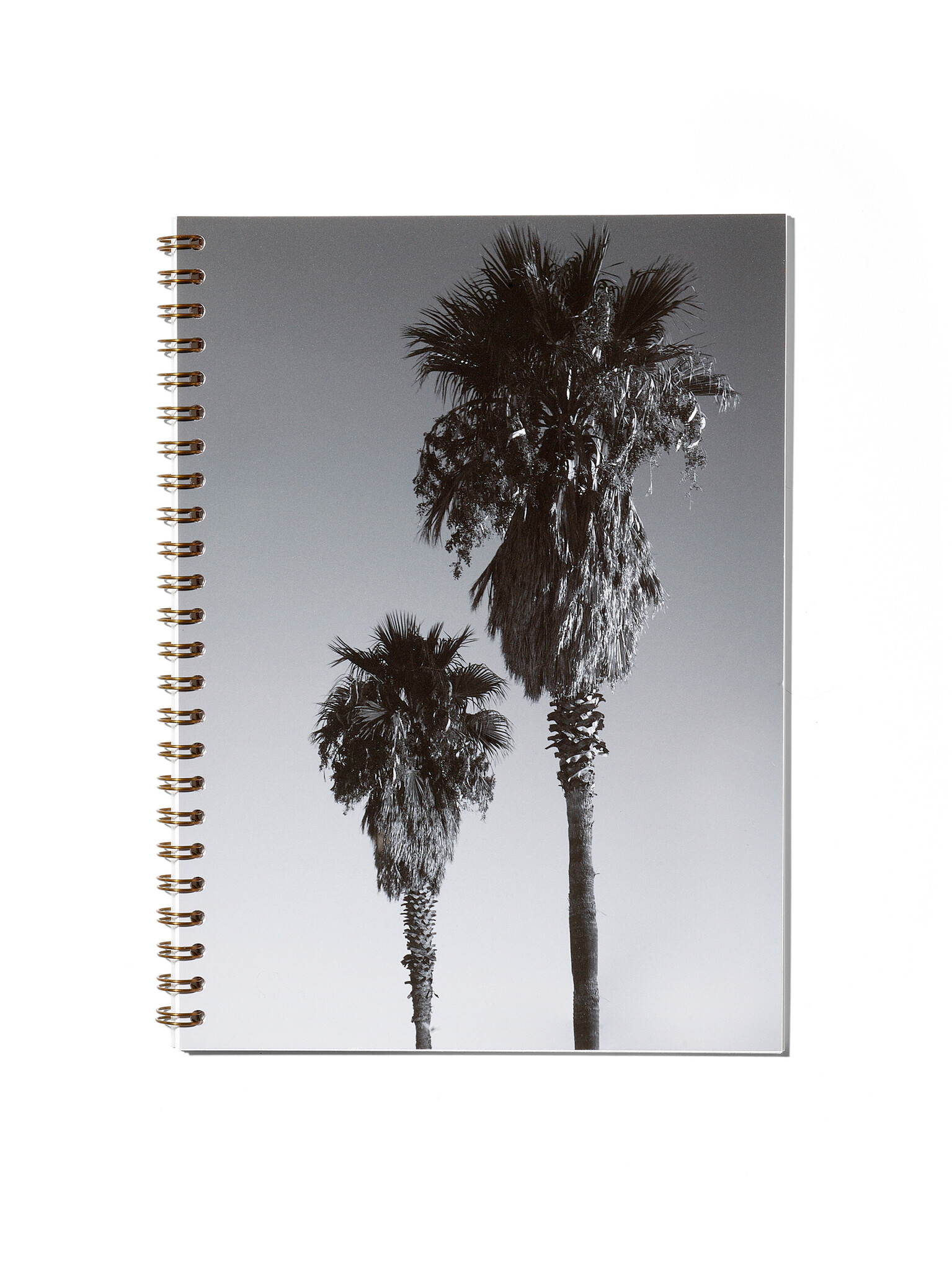 NOUVEL ÉTÉ Notizbuch / Carnet de notes – Club Tropicana, N°4, Fine Art Print