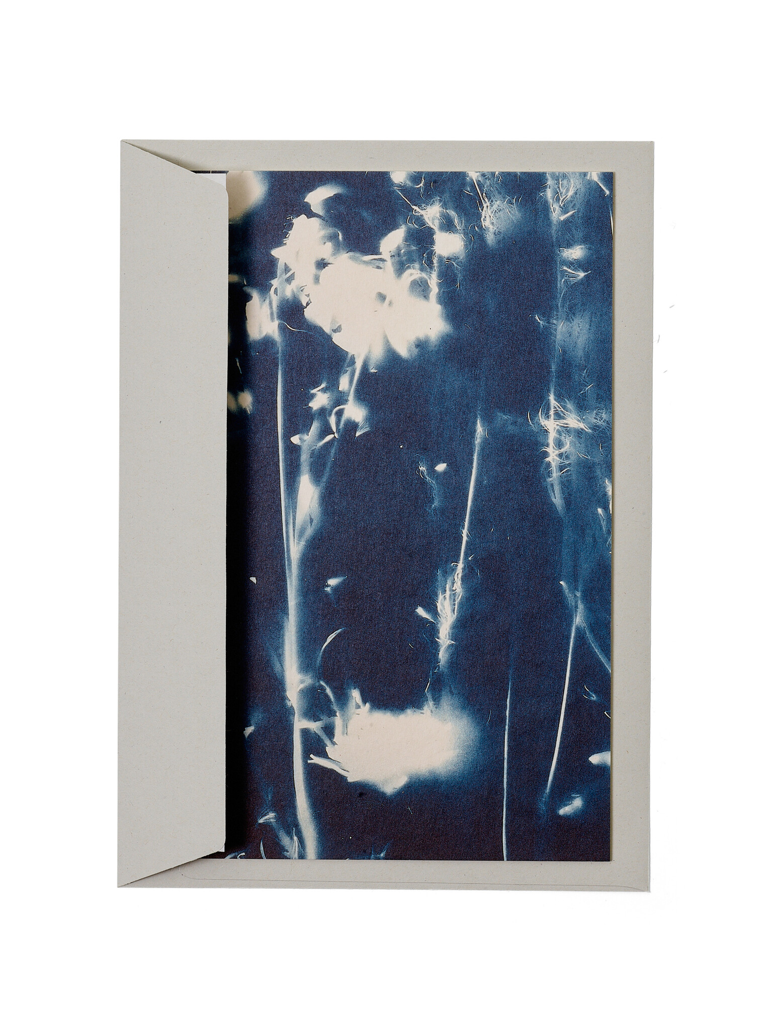 STUDIO SOMMER Karte / Print DIN A5, CYANOTYPE – fleurs séchées N°5, inkl. Couvert