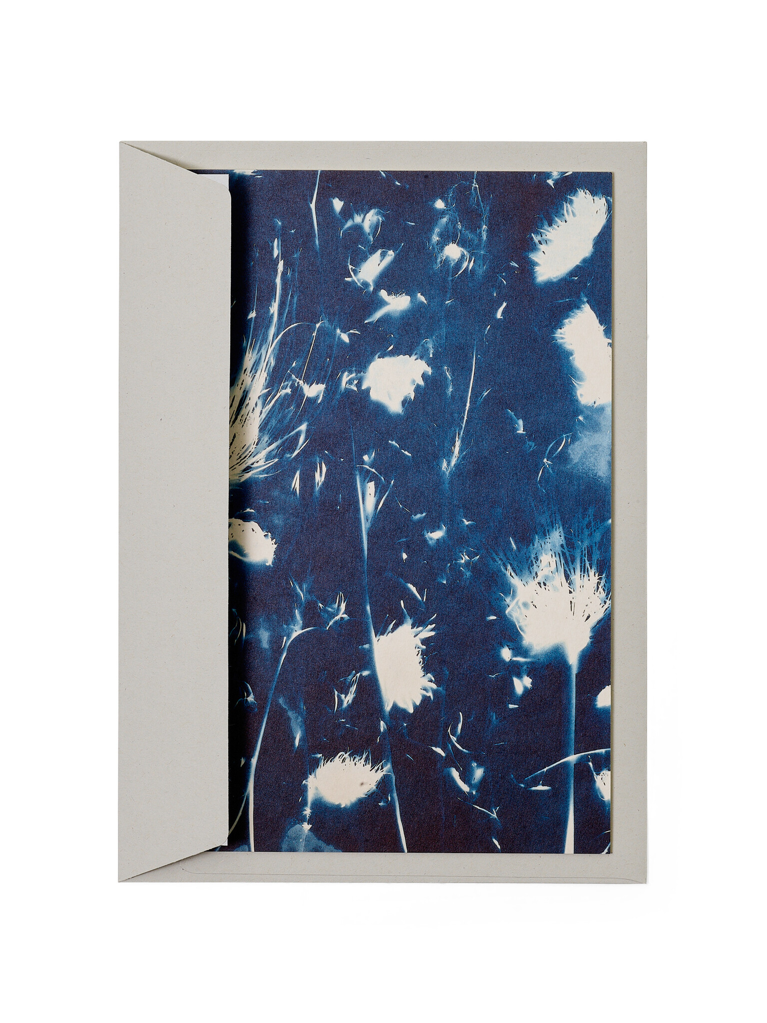 STUDIO SOMMER Karte / Print DIN A5, CYANOTYPE – fleurs séchées N°2, inkl. Couvert
