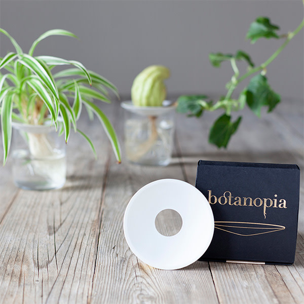 BOTANOPIA Keimschale aus Porzellan Grösse L