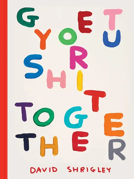 DAVID SHRIGLEY Get Your Shit Together – ENGLISCH