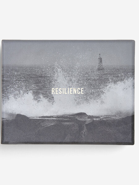 THE SCHOOL OF LIFE Recilience - Resilienzkarten