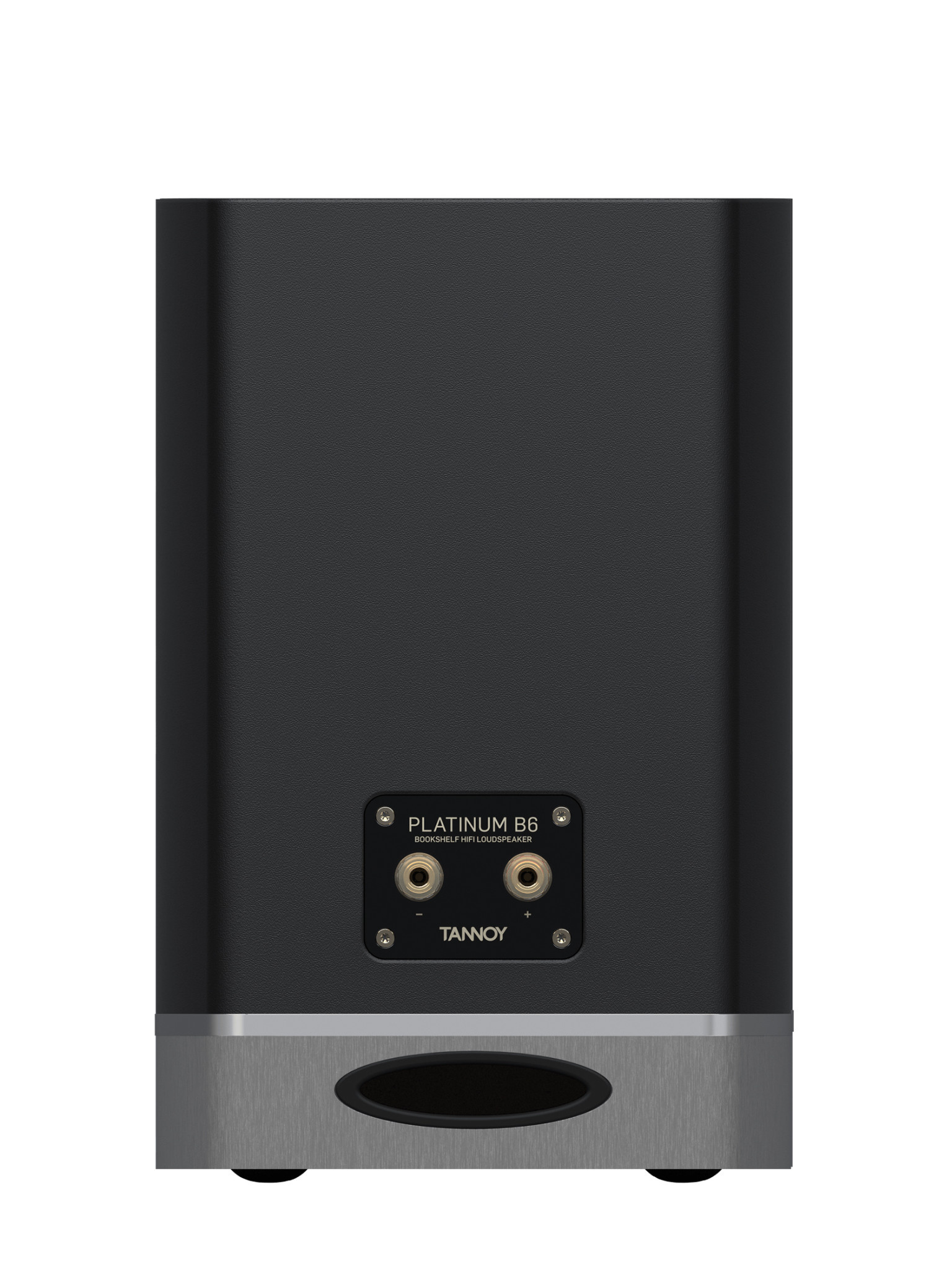 TANNOY PLATINUM  B6 (Paar)