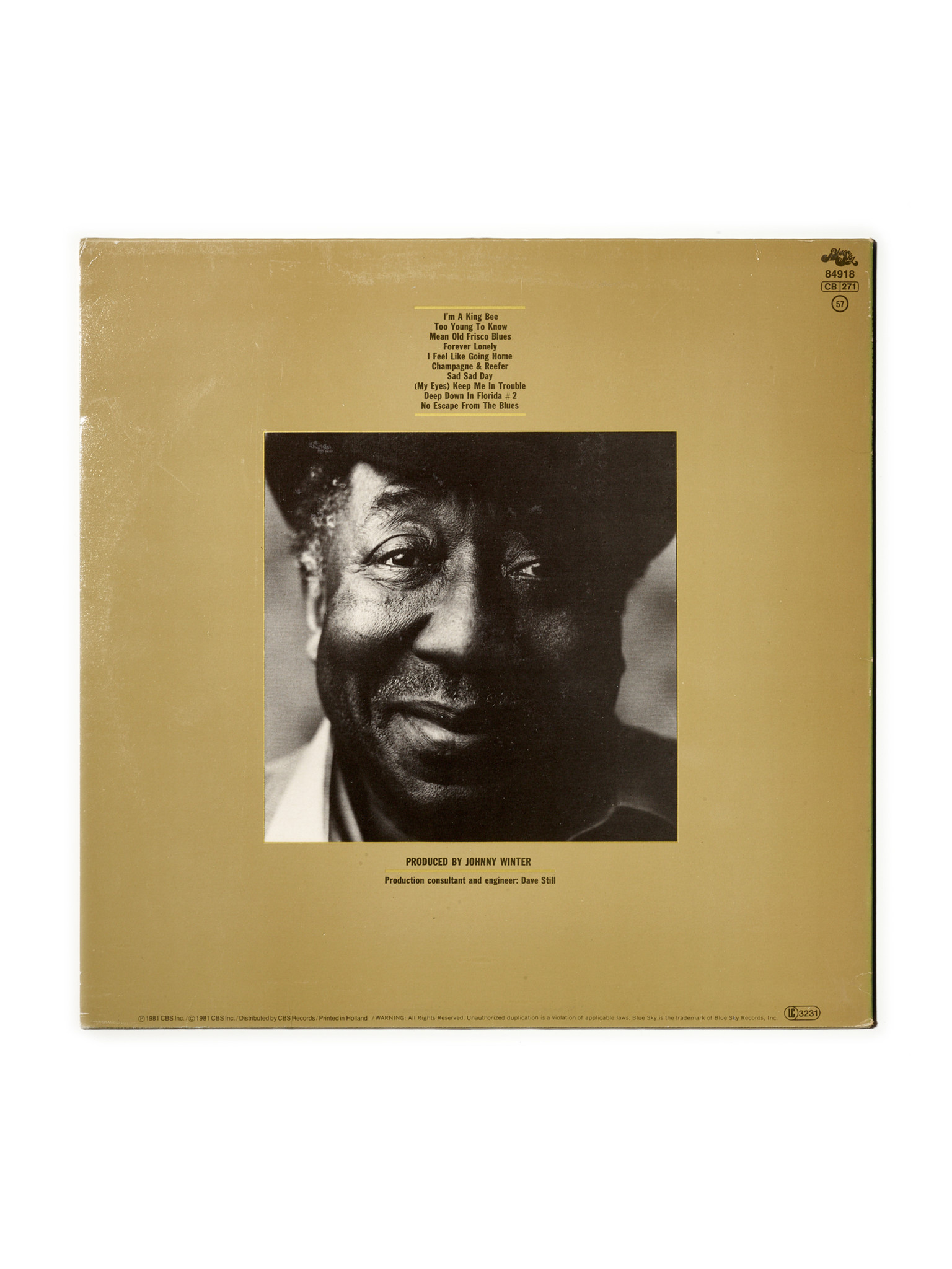 NÉ RECORDS Muddy Waters - King Bee