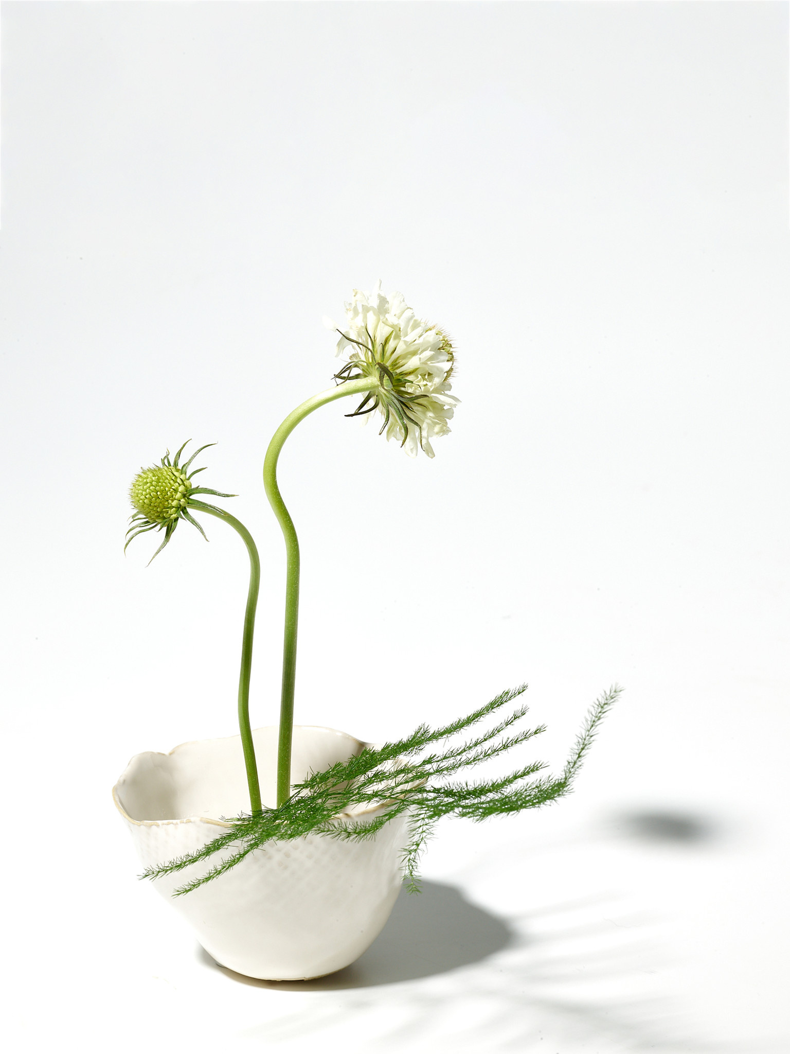 STUDIO SOMMER Kenzan / Steckigel Grösse S