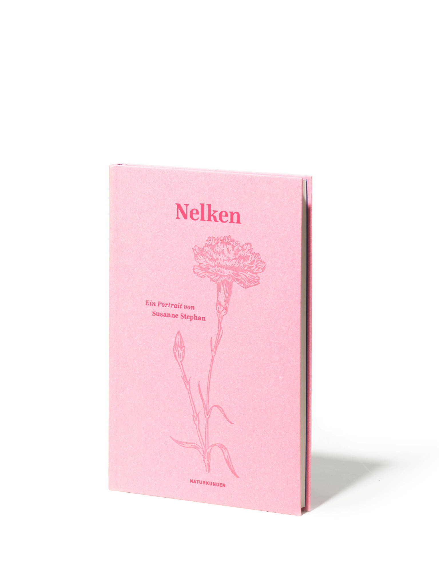 Nelken - Ein Portrait von Susanne Stephan