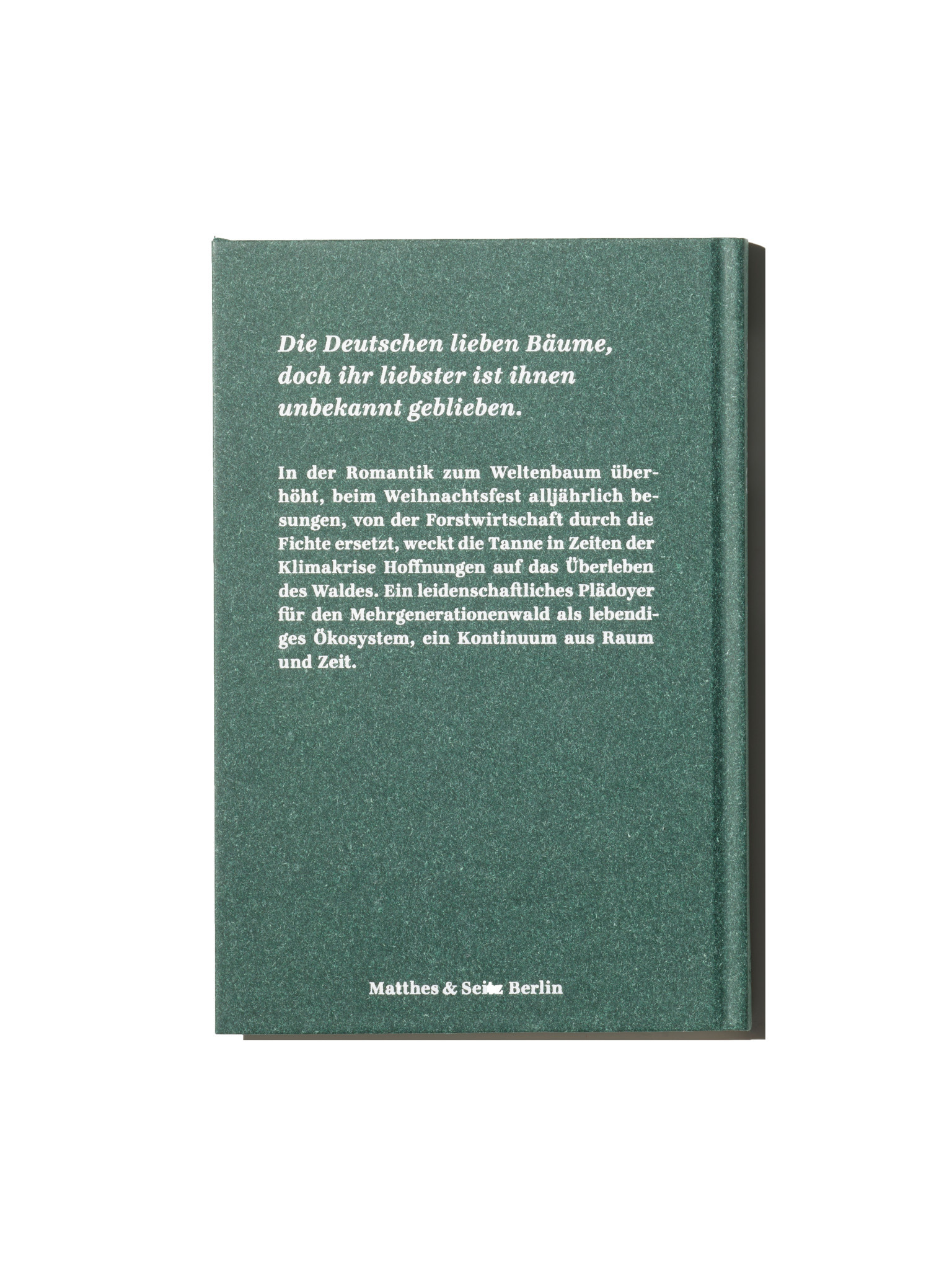 Tannen - Ein Portrait von Wilhelm Bode