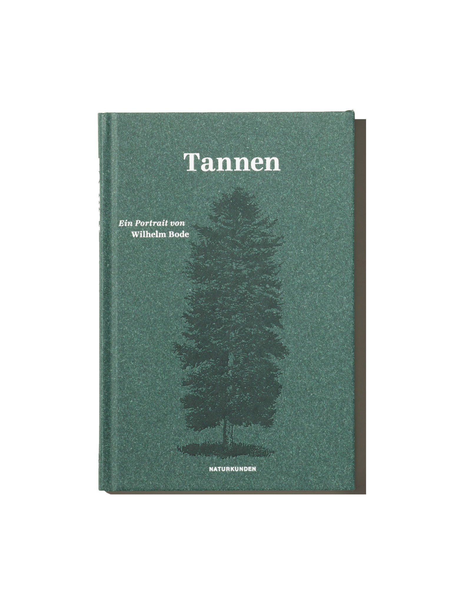 Tannen - Ein Portrait von Wilhelm Bode