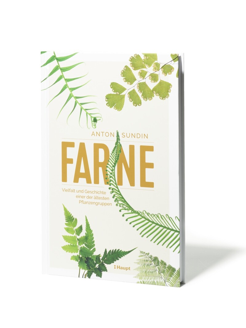 Farne
