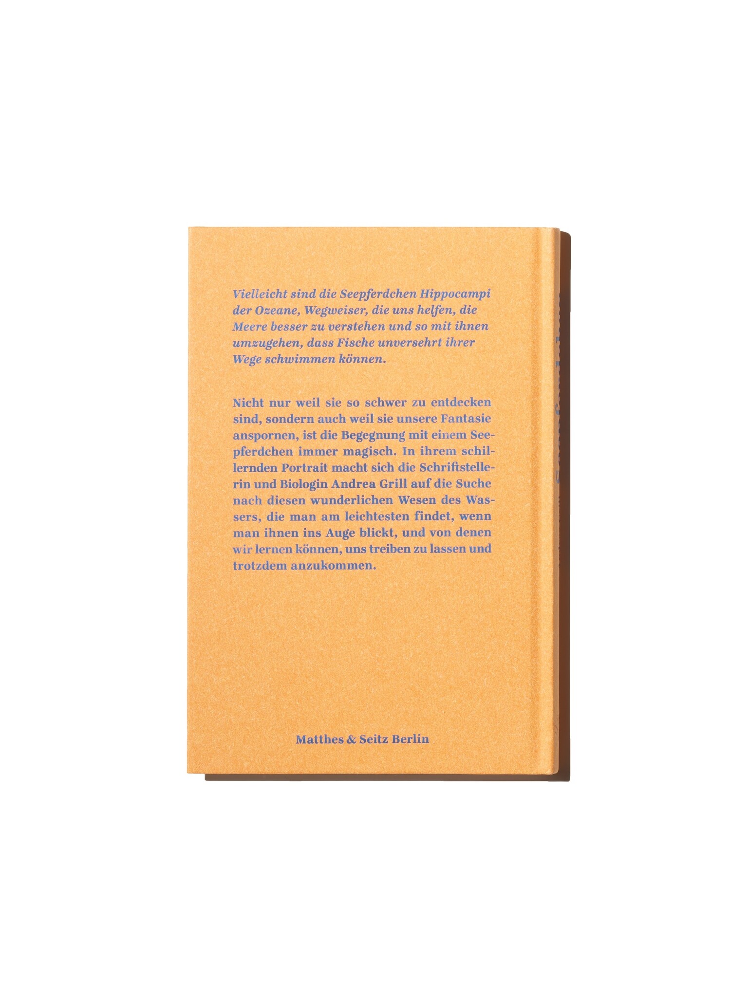 Seepferdchen - Ein Portrait von Andrea Grill