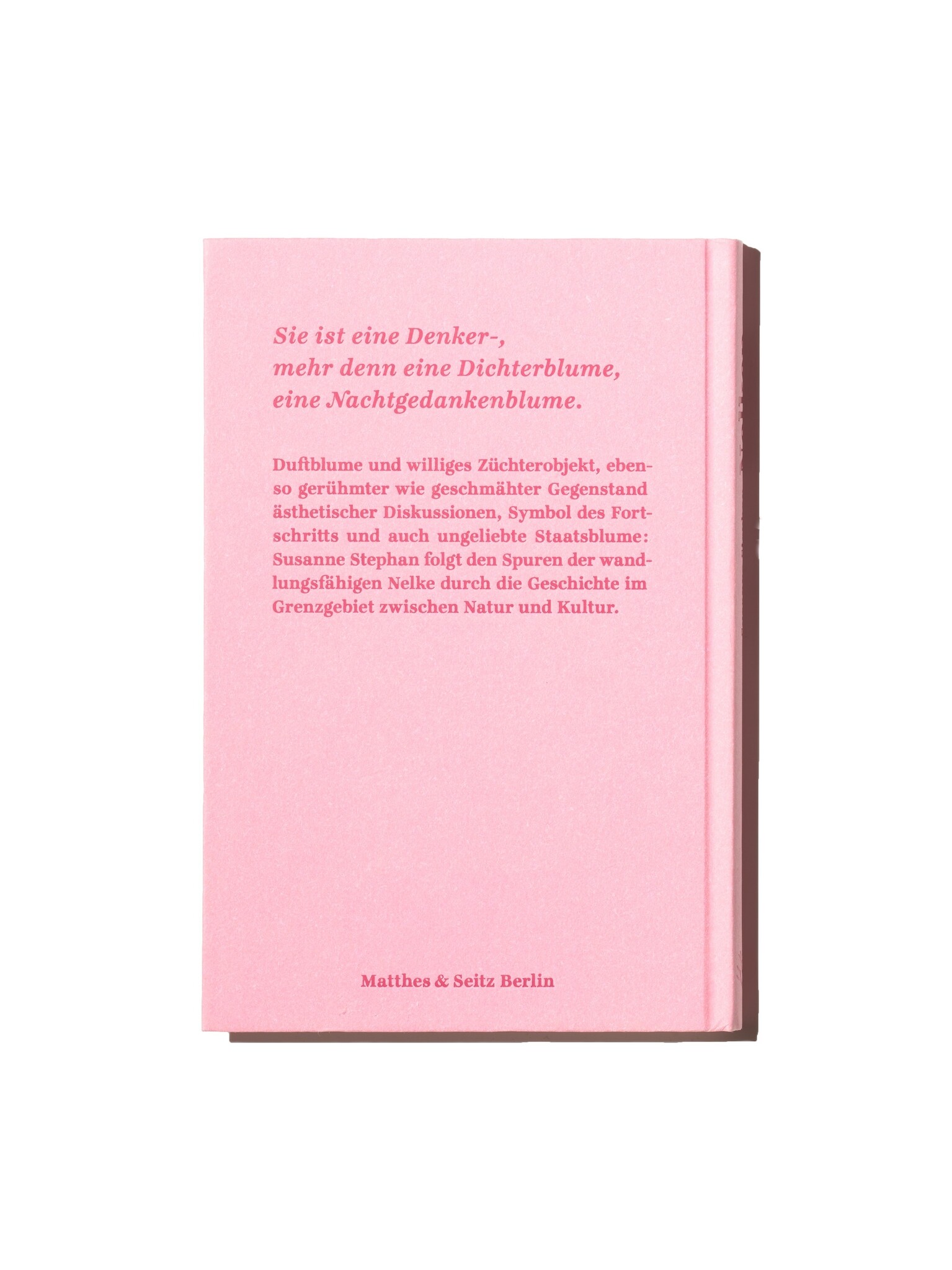 Nelken - Ein Portrait von Susanne Stephan