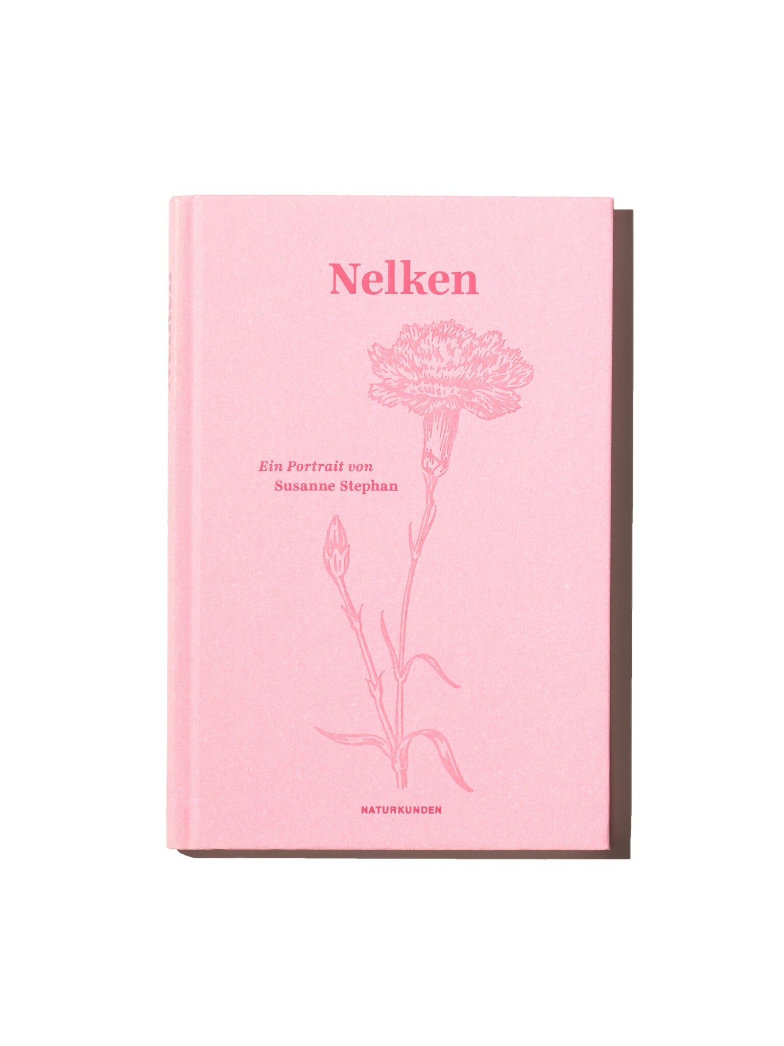 Nelken - Ein Portrait von Susanne Stephan