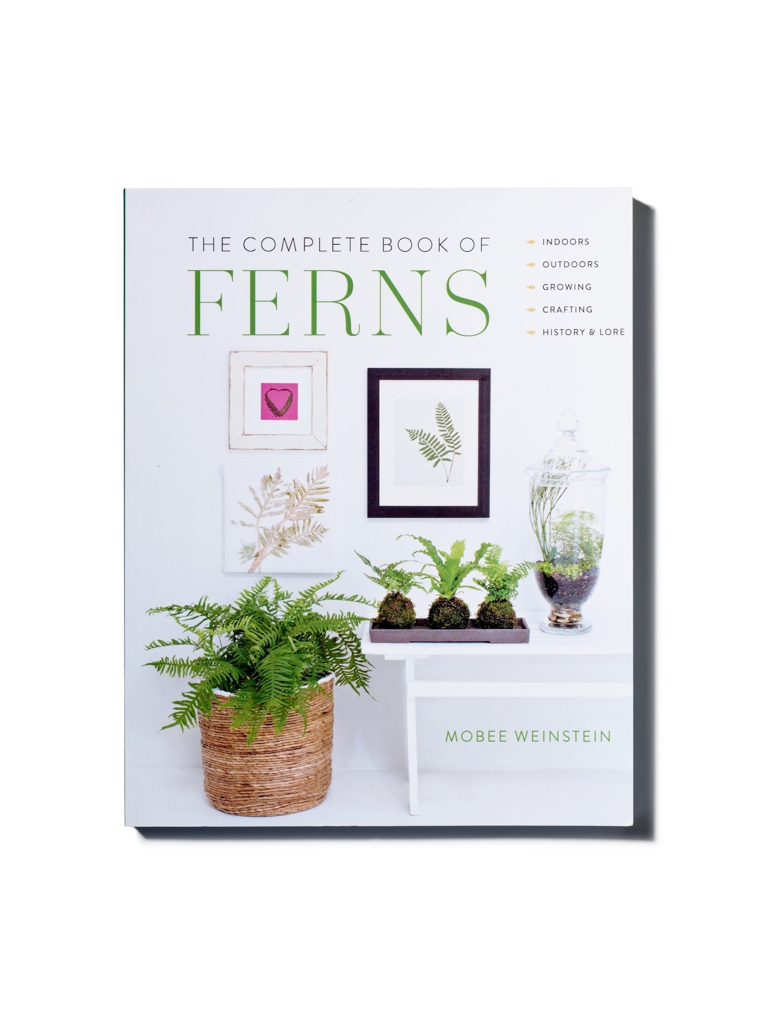 The complete book of FERNS