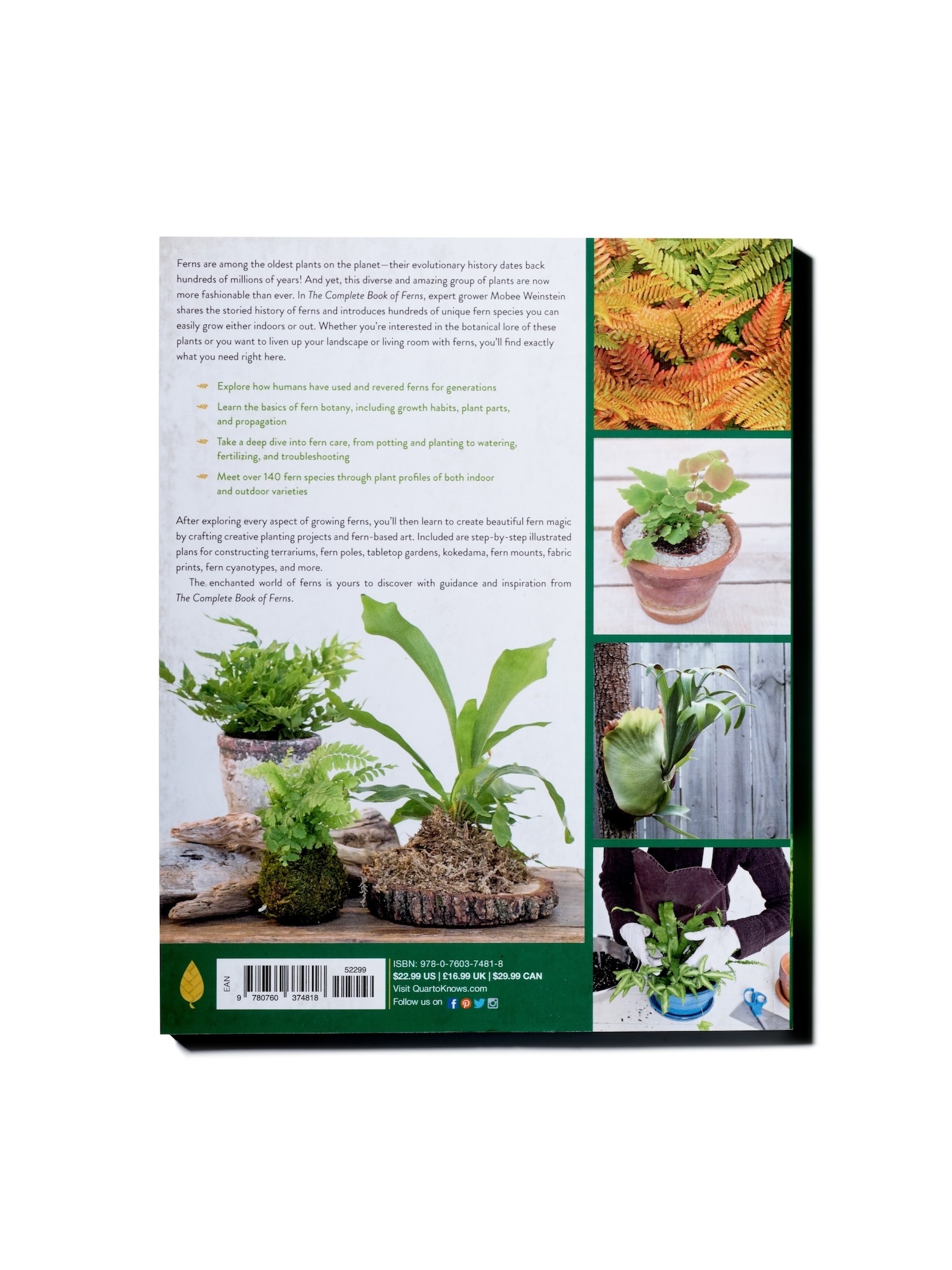 The complete book of FERNS