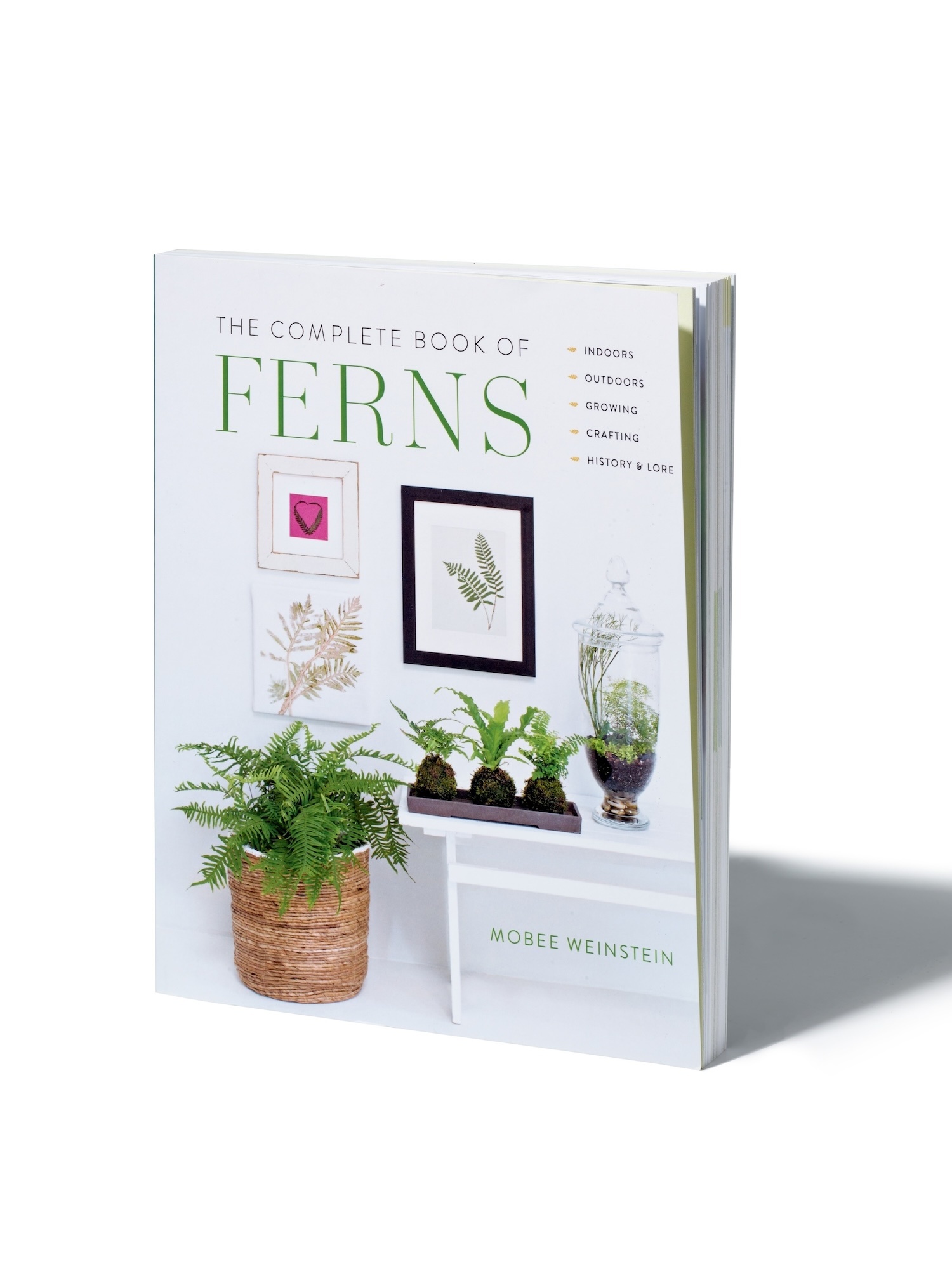 The complete book of FERNS