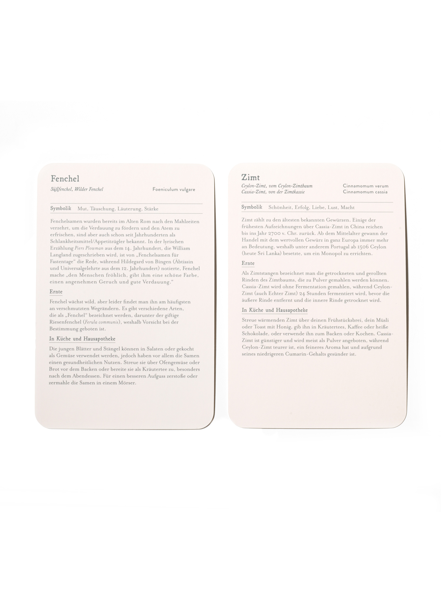 Heilpflanzen 50 botanische Karten