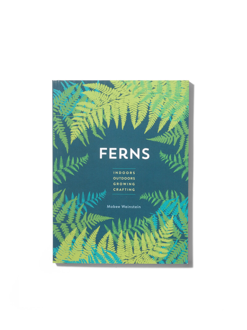 Ferns