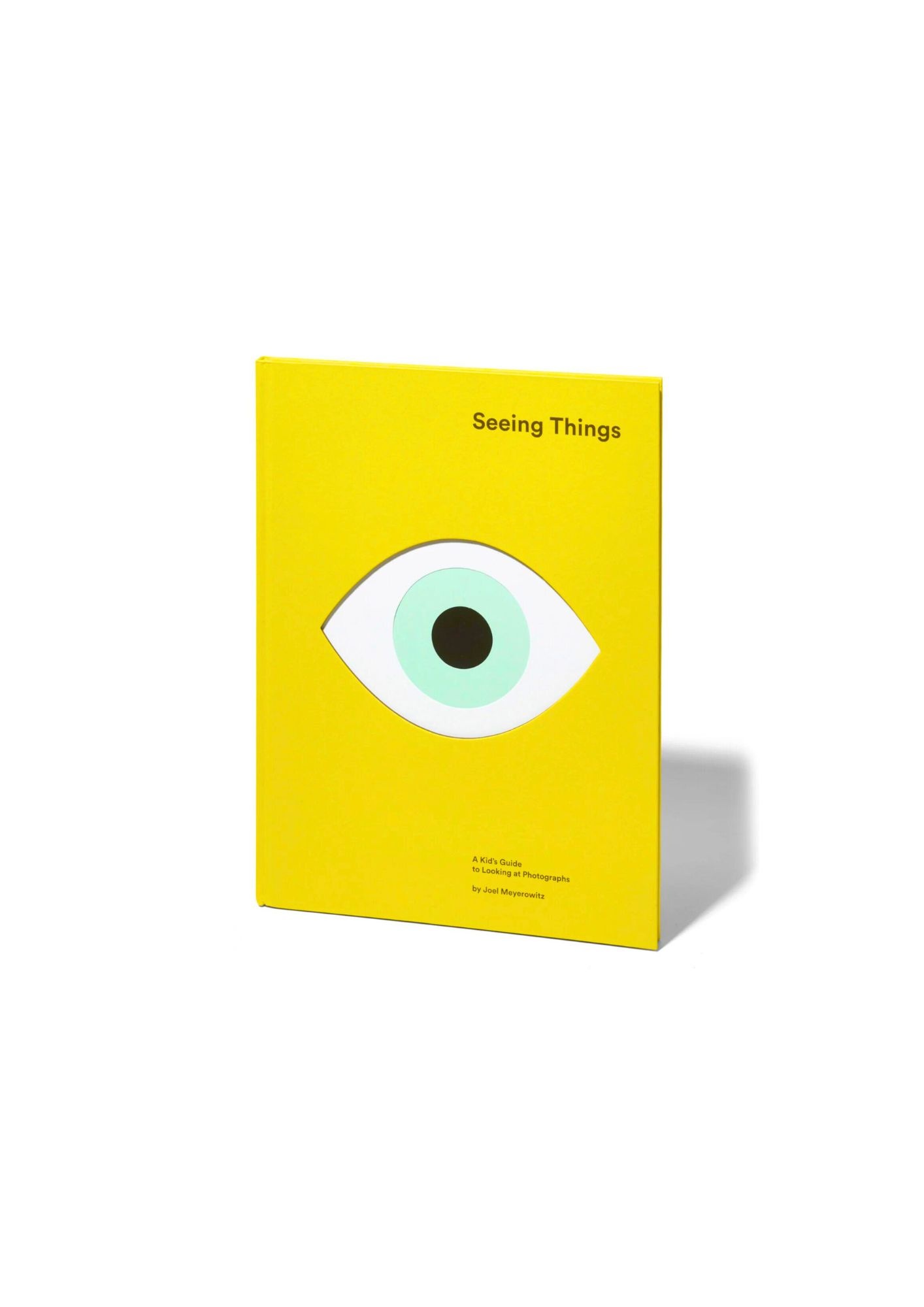 Seeing Things -  A Kid's Guide to Looking at Photographs