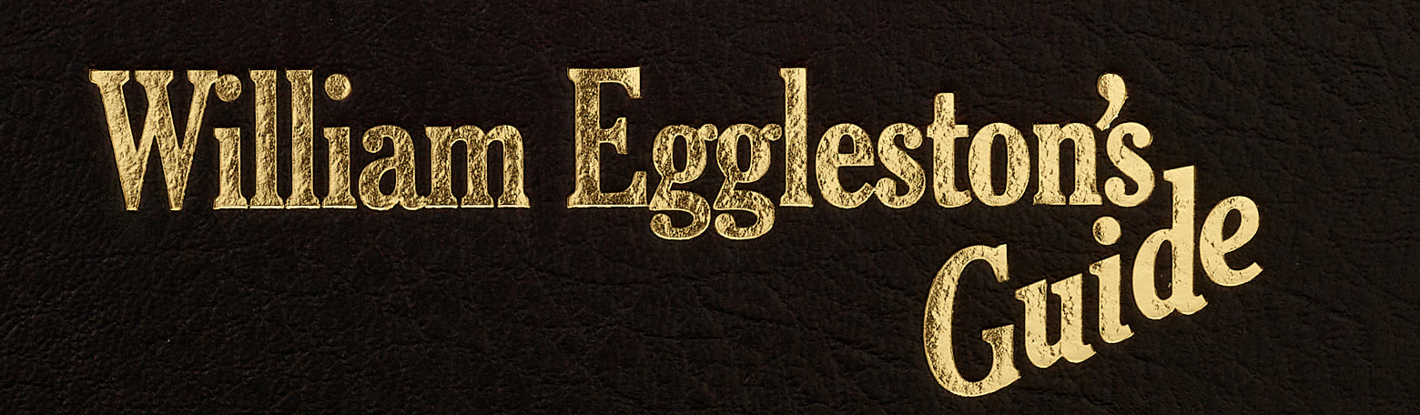 William Eggleston's Guide
