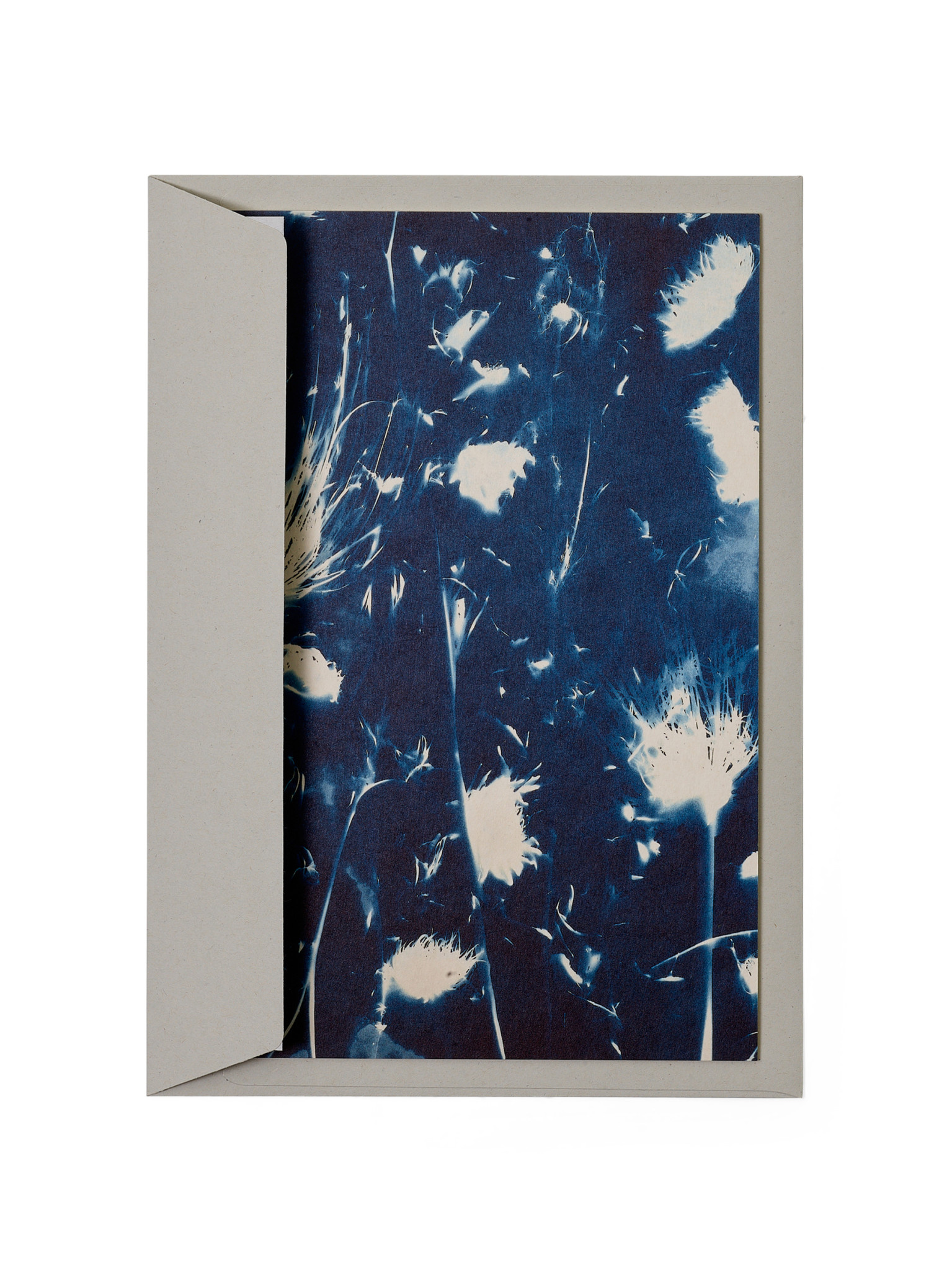 STUDIO SOMMER Karte / Print DIN A5, CYANOTYPE – fleurs séchées N°2, inkl. Couvert