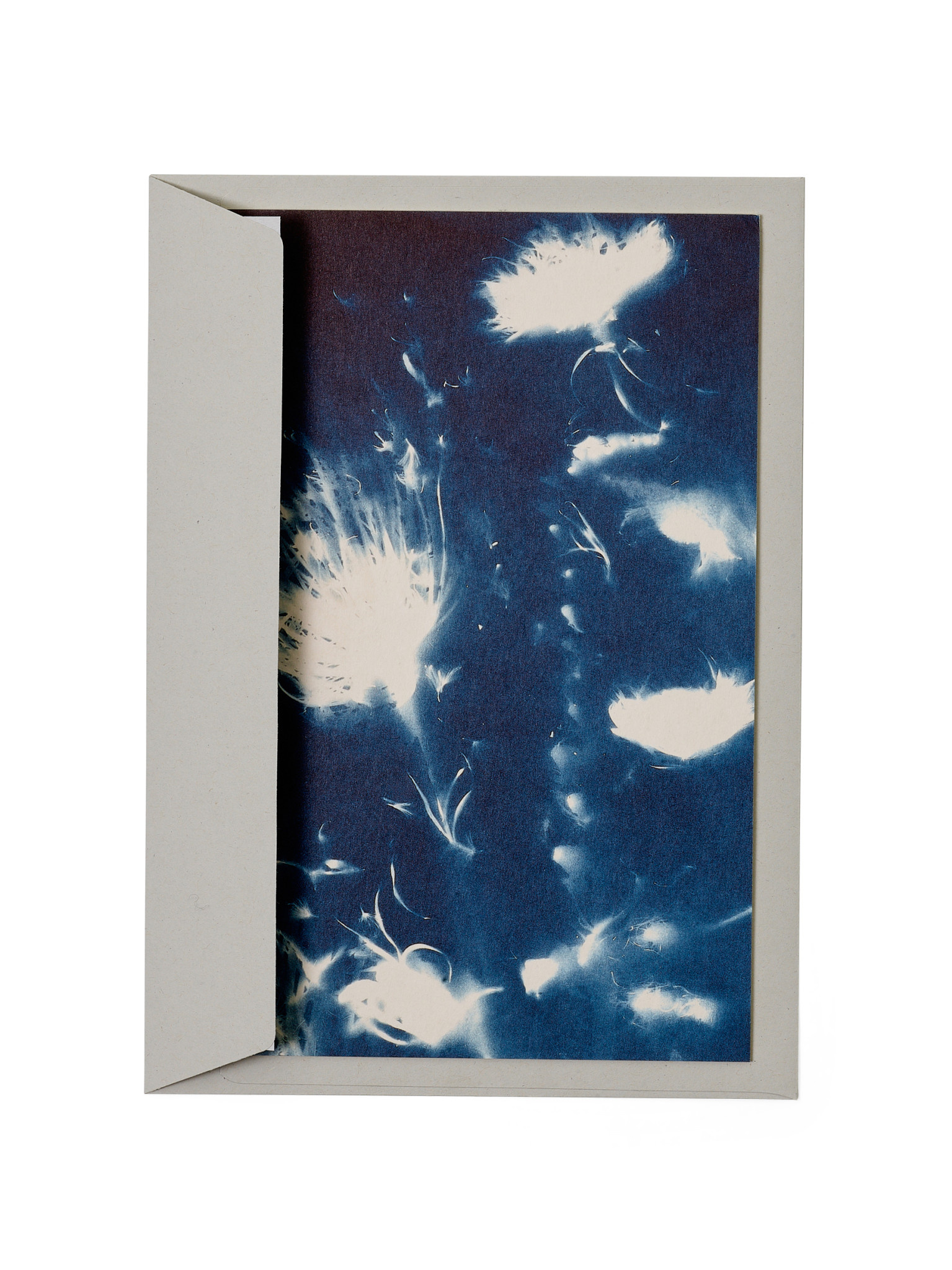 STUDIO SOMMER Karte / Print DIN A5, CYANOTYPE – fleurs séchées N°3, inkl. Couvert