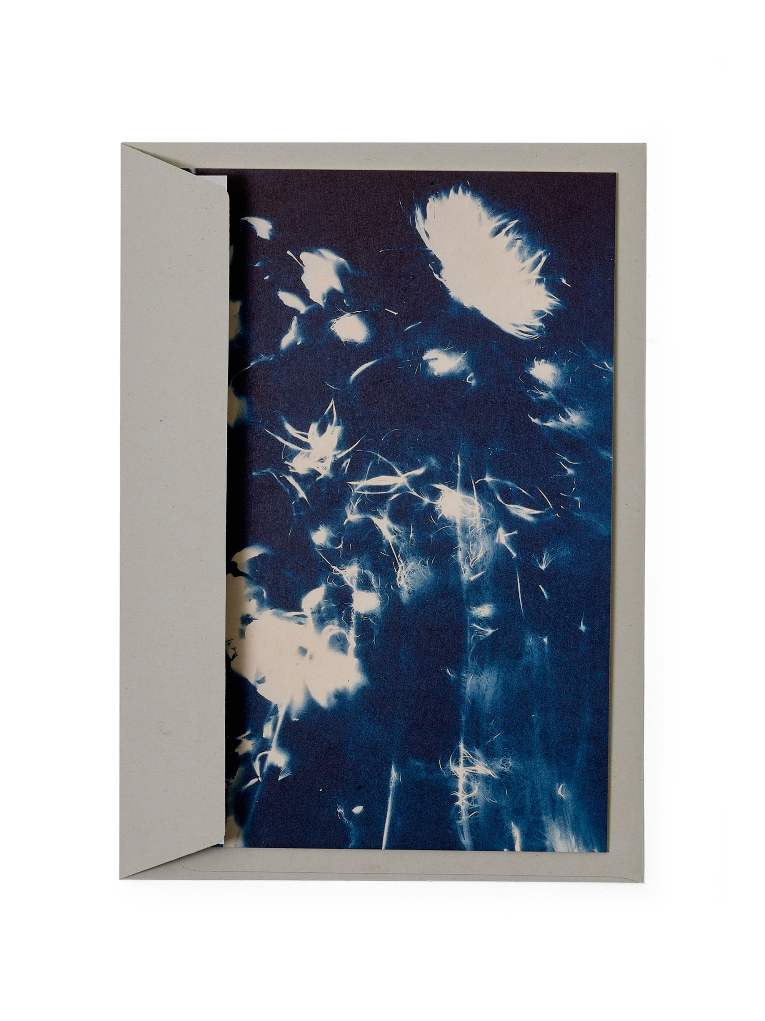 STUDIO SOMMER Karte / Print DIN A5, CYANOTYPE – fleurs séchées N°4, inkl. Couvert