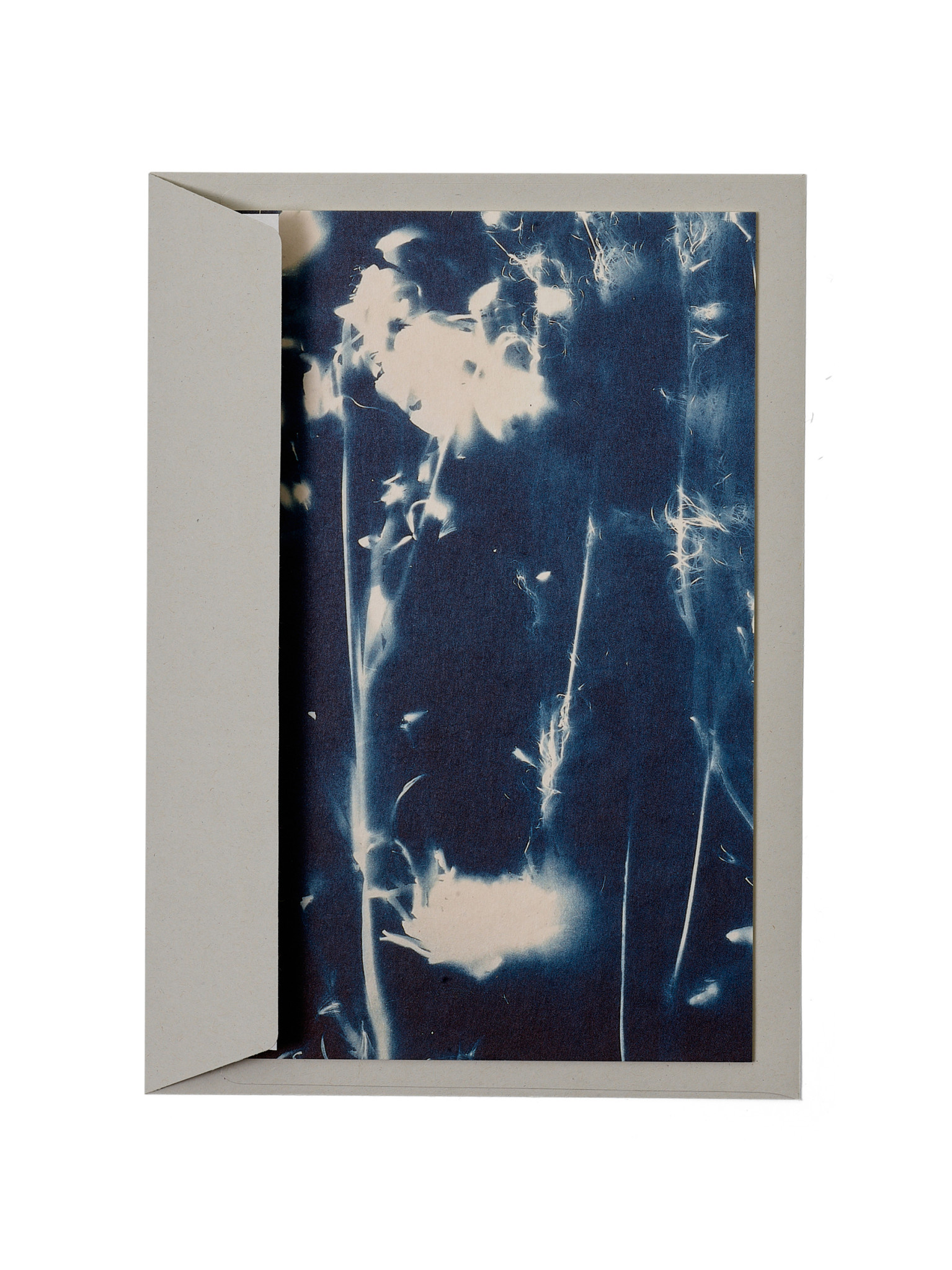STUDIO SOMMER Karte / Print DIN A5, CYANOTYPE – fleurs séchées N°5, inkl. Couvert