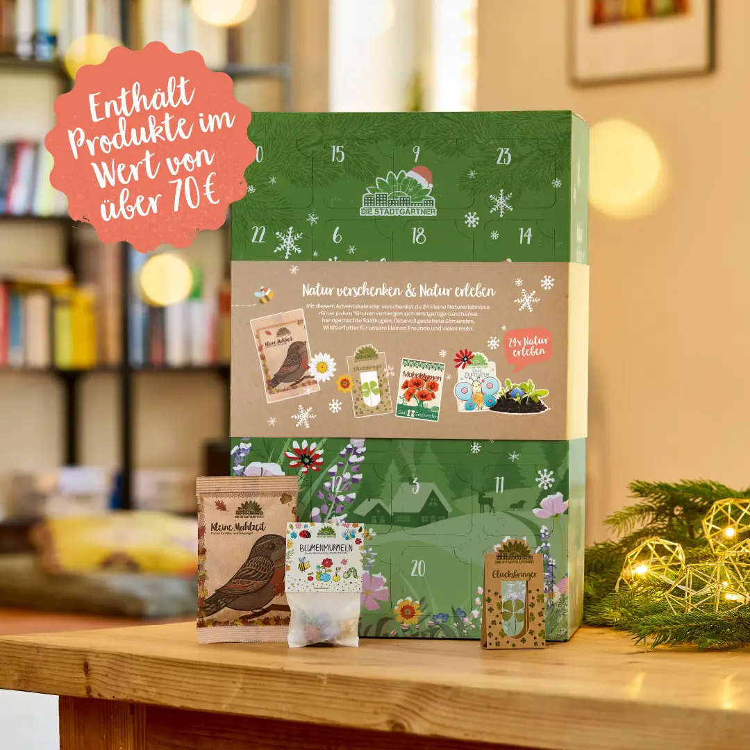Grosser Adventskalender NATUR
