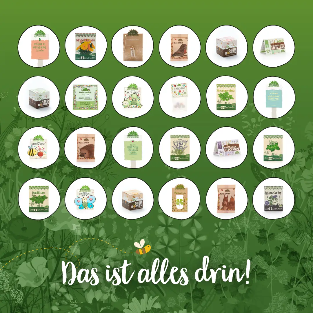 Grosser Adventskalender NATUR