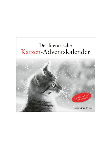 Der literarische Katzen-Adventskalender