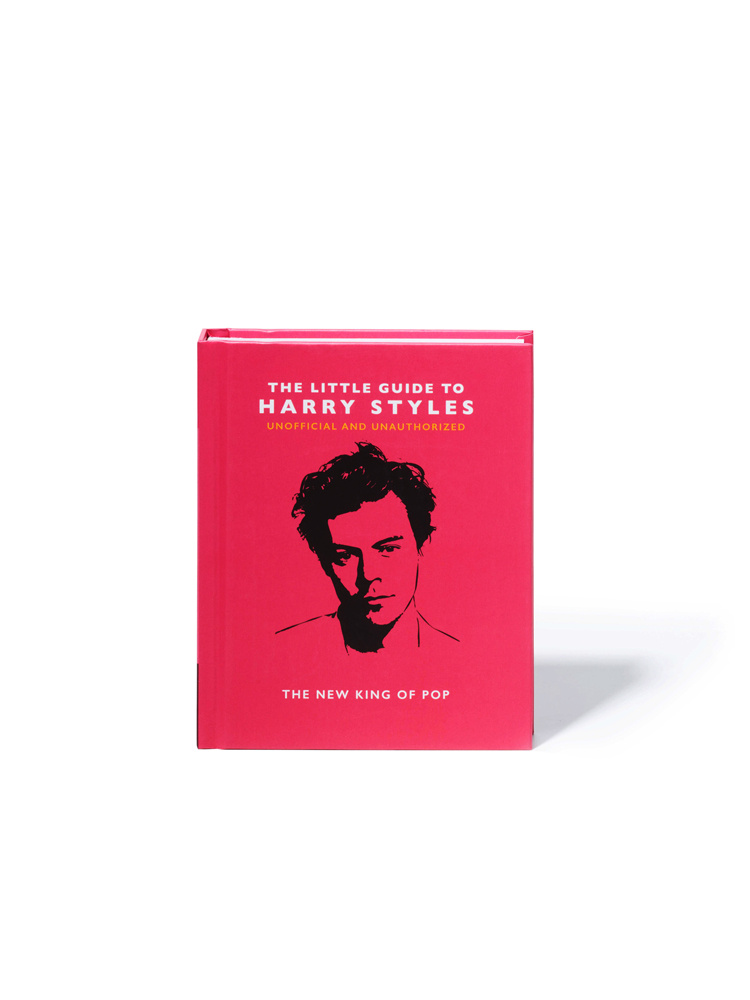 The little guide to HARRY STYLES: The New King of Pop