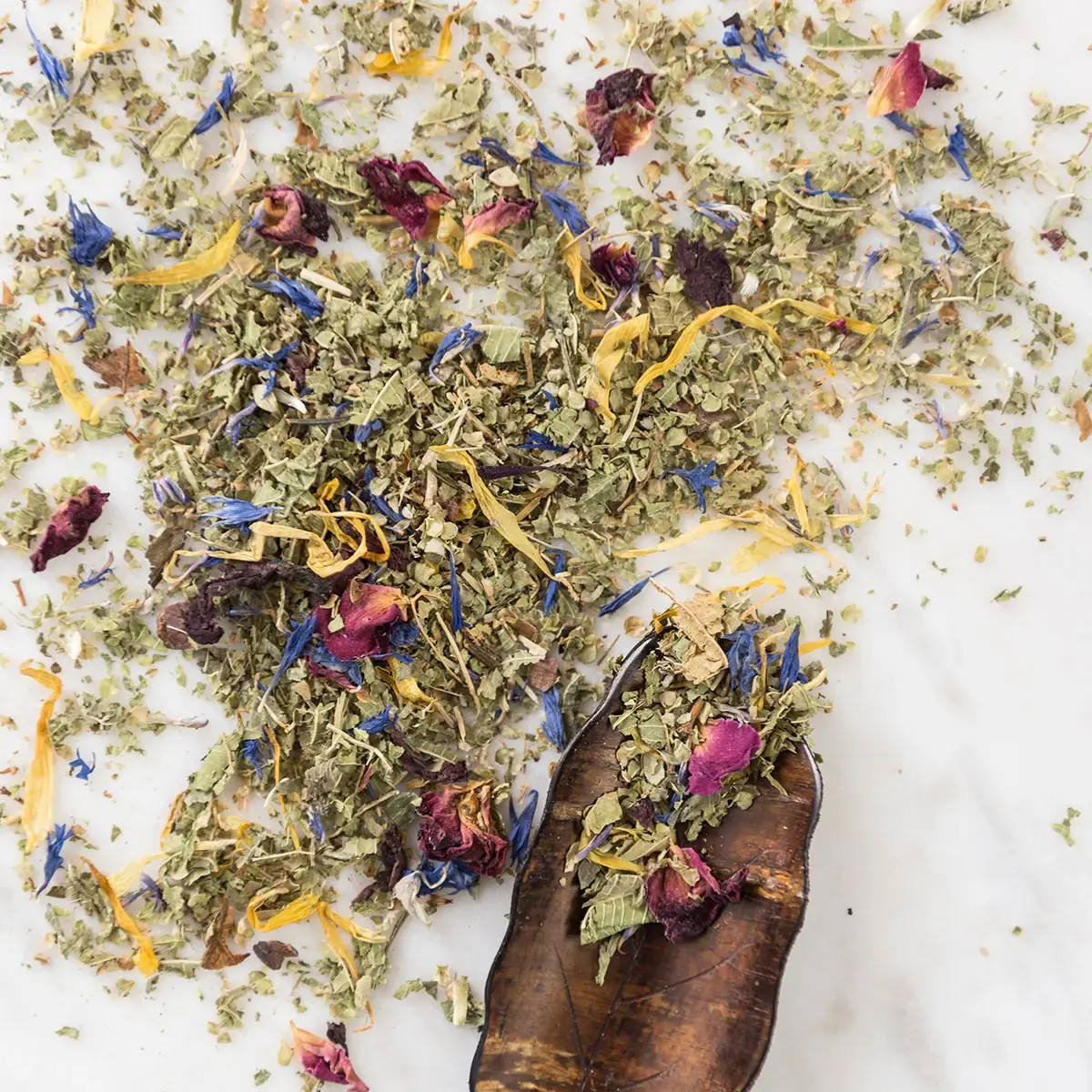 L'INFUSEUR Tee Délice de Paris Herbal Infusion