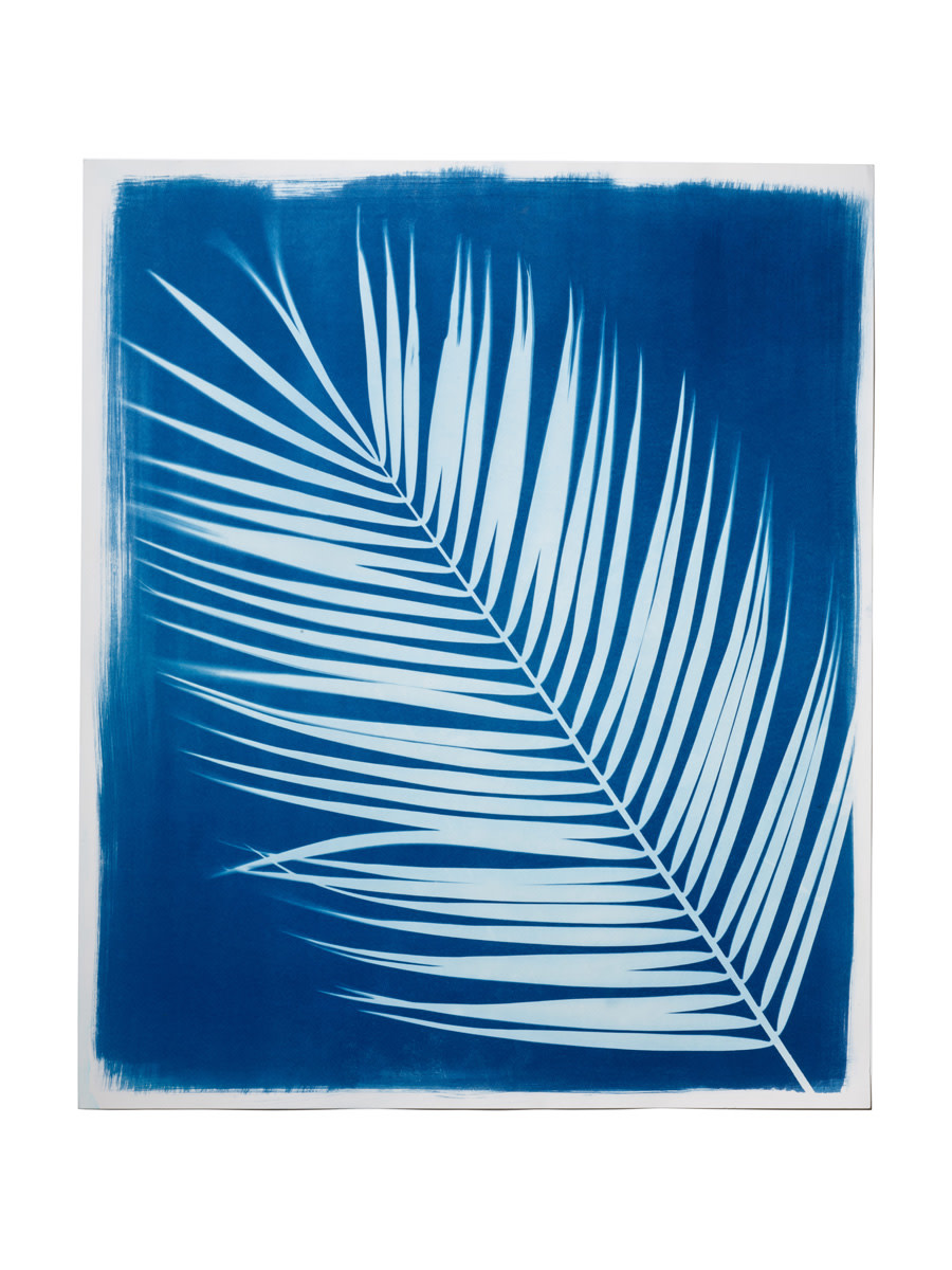 STUDIO SOMMER Original Cyanotypie Palmblatt