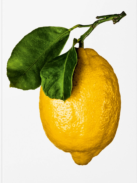 The Gourmand's Lemon - A Collection of Stories and Recipes