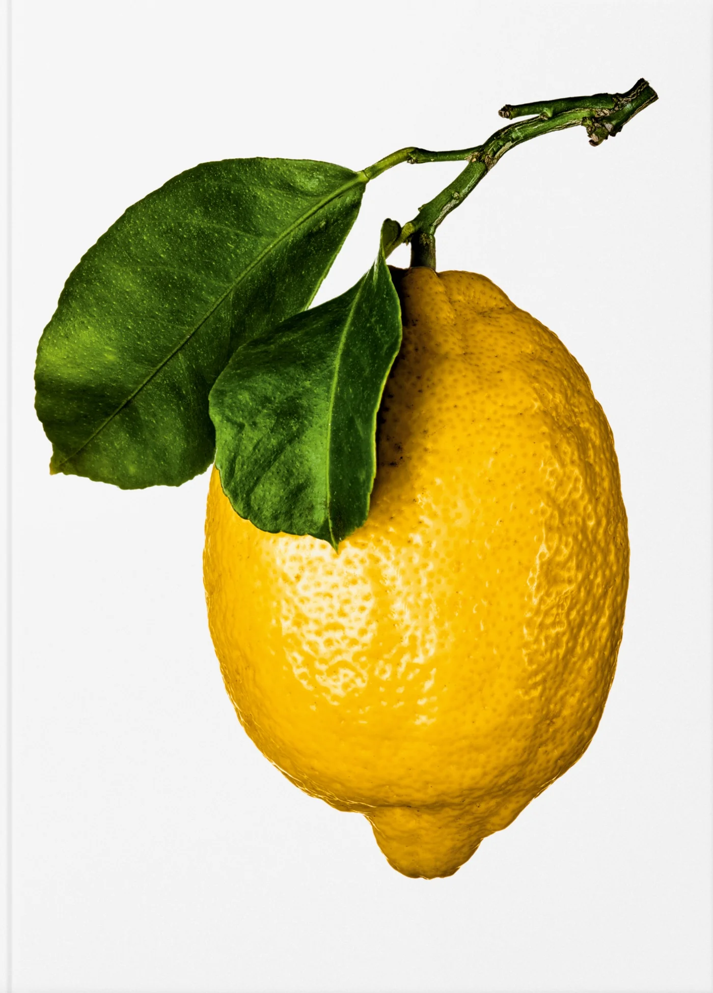The Gourmand's Lemon - A Collection of Stories and Recipes
