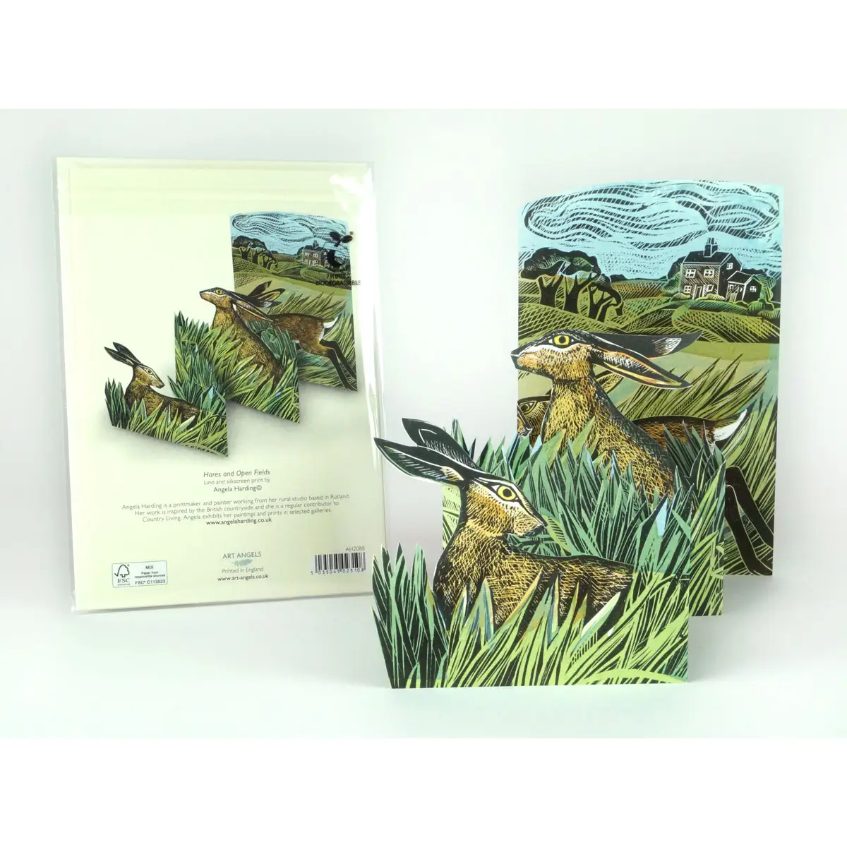 3D Grusskarte Hase