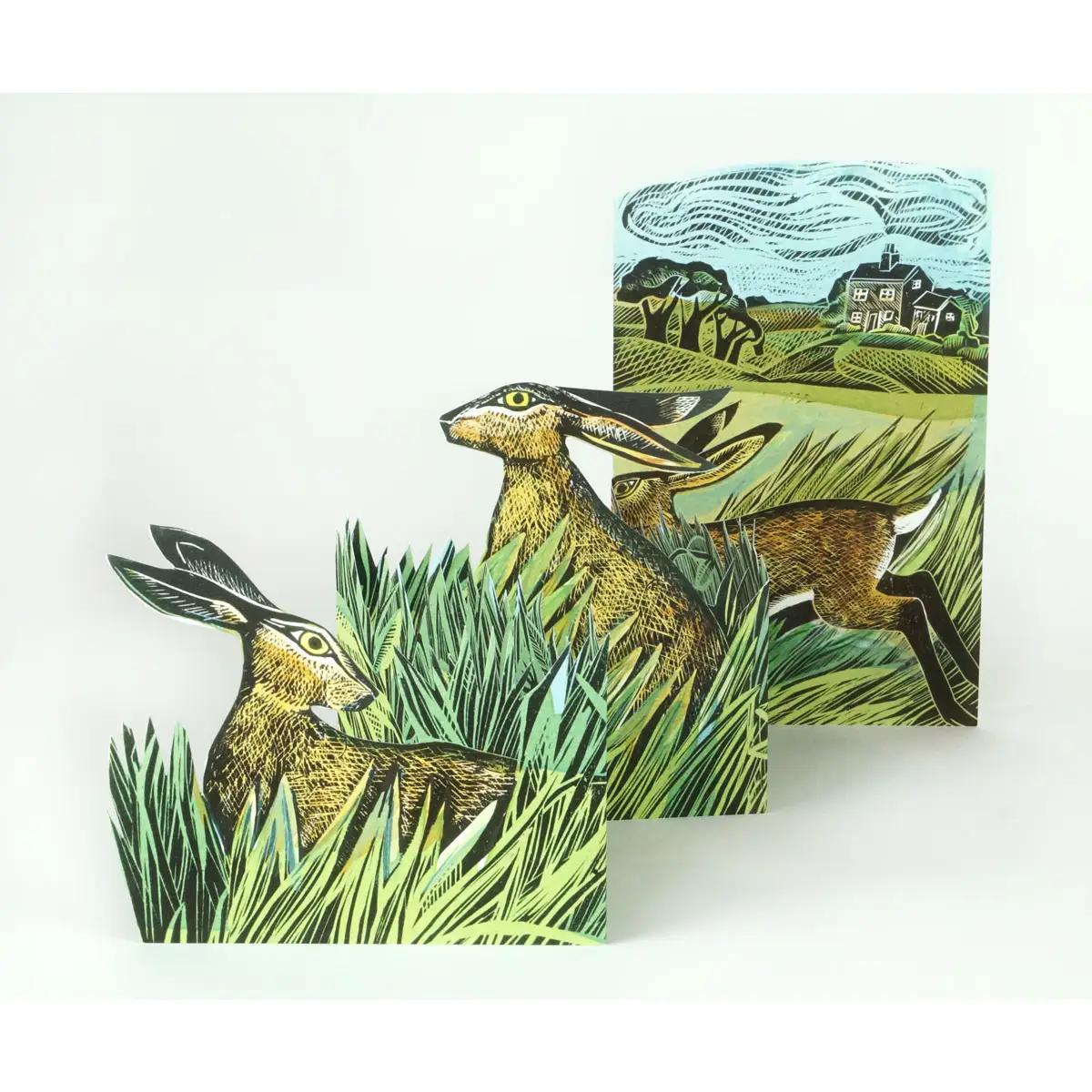 3D Grusskarte Hase