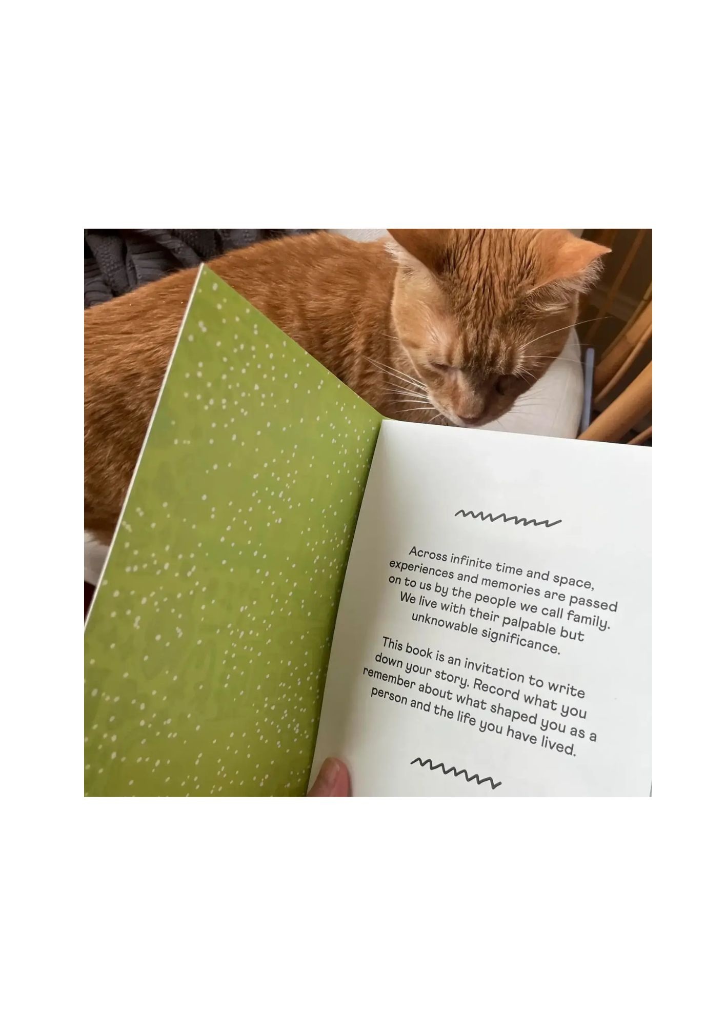 PEOPLE I‘VE LOVED Stories We Tell