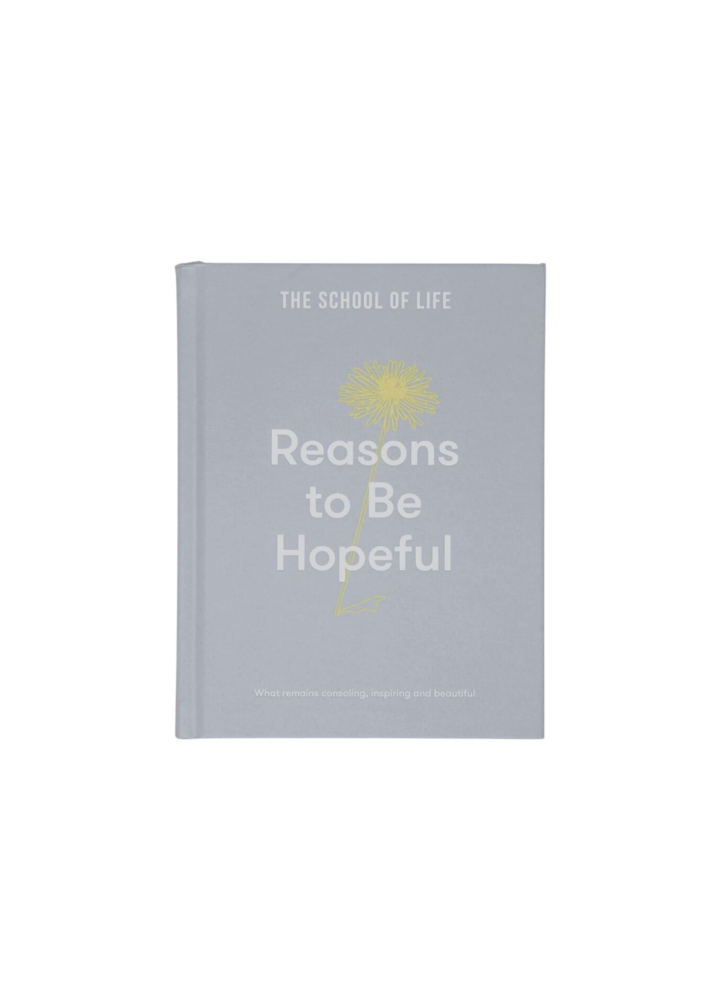 THE SCHOOL OF LIFE Reasons to Be Hopeful