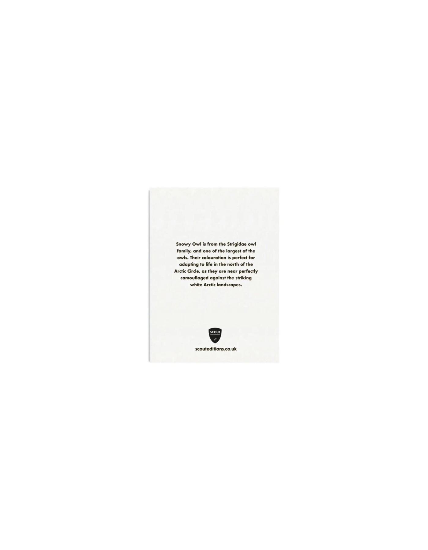 SCOUT EDITIONS Minikarte Eule