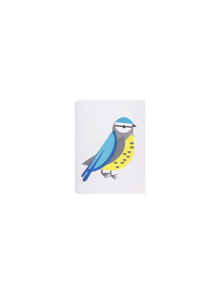 SCOUT EDITIONS Kleine Doppelkarte Blaumeise