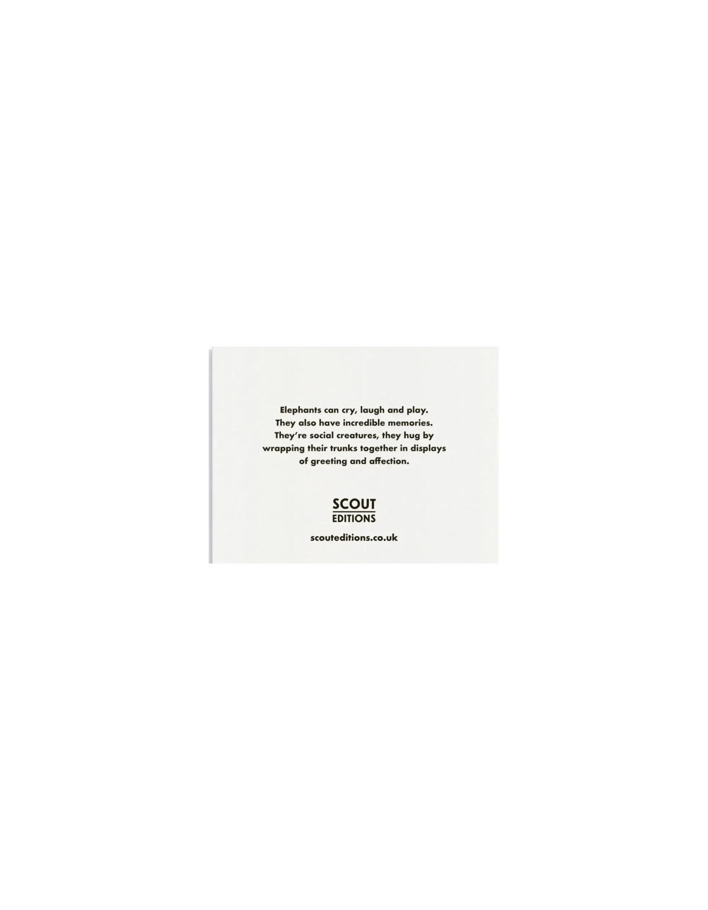 SCOUT EDITIONS Kleine Doppelkarte Elephants