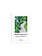 DIOGENES Hinausspaziert - Unterwegs mit Virginia Woolf - Urs Widmer - Benedict Wells u.v.a.