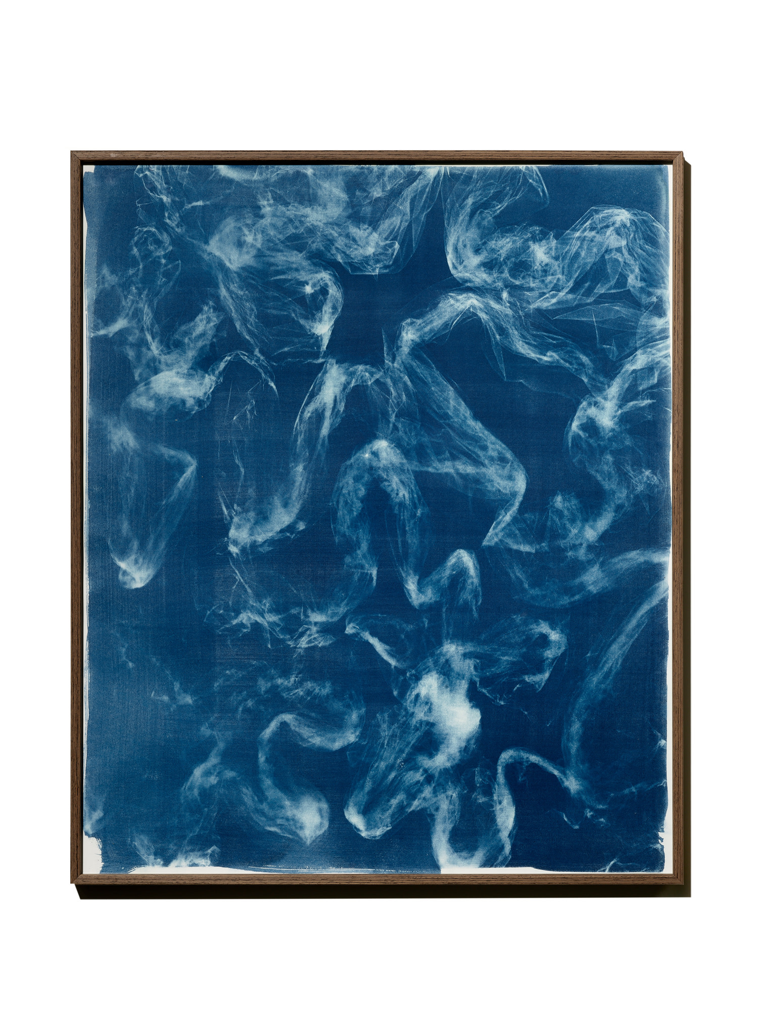 STUDIO SOMMER Original Cyanotypie - Unikat 50x60cm GISCHT