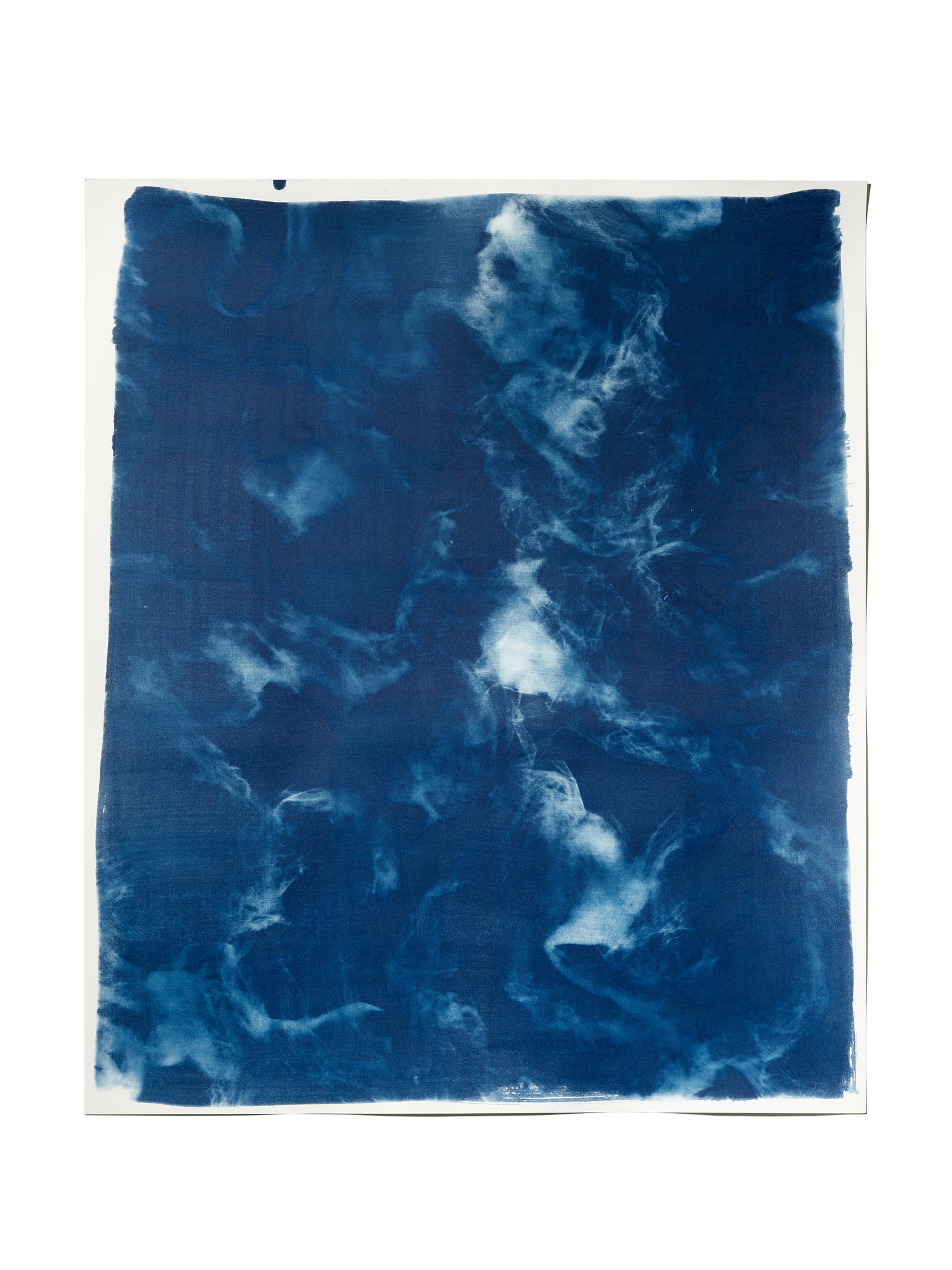 STUDIO SOMMER Original Cyanotypie - Unikat 50x60cm MISTRAL