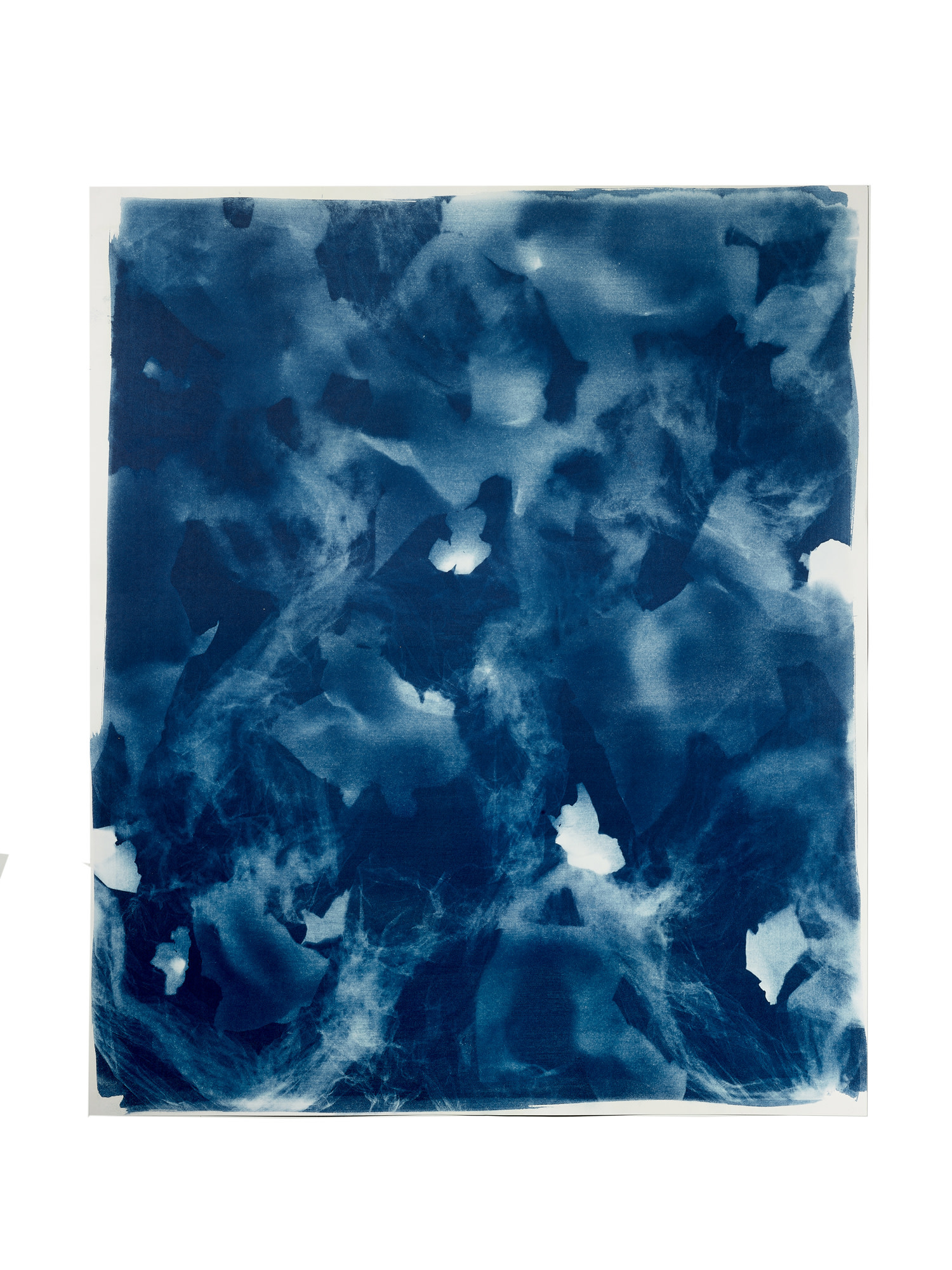 STUDIO SOMMER Original Cyanotypie - Unikat 50x60cm ZEPHYR
