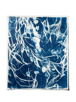 STUDIO SOMMER Original Cyanotypie - Unikat 50x60cm PELAGIA