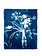STUDIO SOMMER Original Cyanotypie - Unikat 50x60cm LUNARIA & GRASS N°1